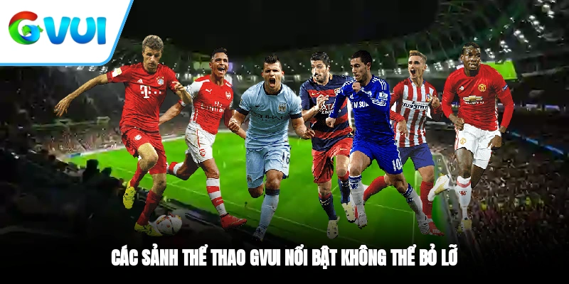 Các sảnh thể thao GVUI nổi bật không thể bỏ lỡ